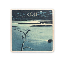 Load image into Gallery viewer, OUTLET National Park Coaster, several versions