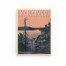 Load image into Gallery viewer, National Park fridge magnet, several versions