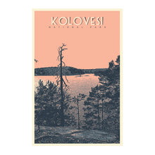 Load image into Gallery viewer, National Park postcard, several versions