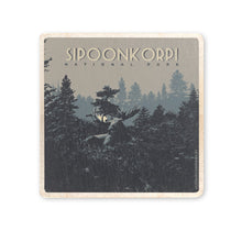 Load image into Gallery viewer, OUTLET National Park Coaster, several versions