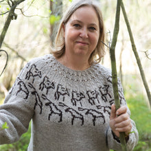 Load image into Gallery viewer, Knitting pattern – Kolovesi wool sweater
